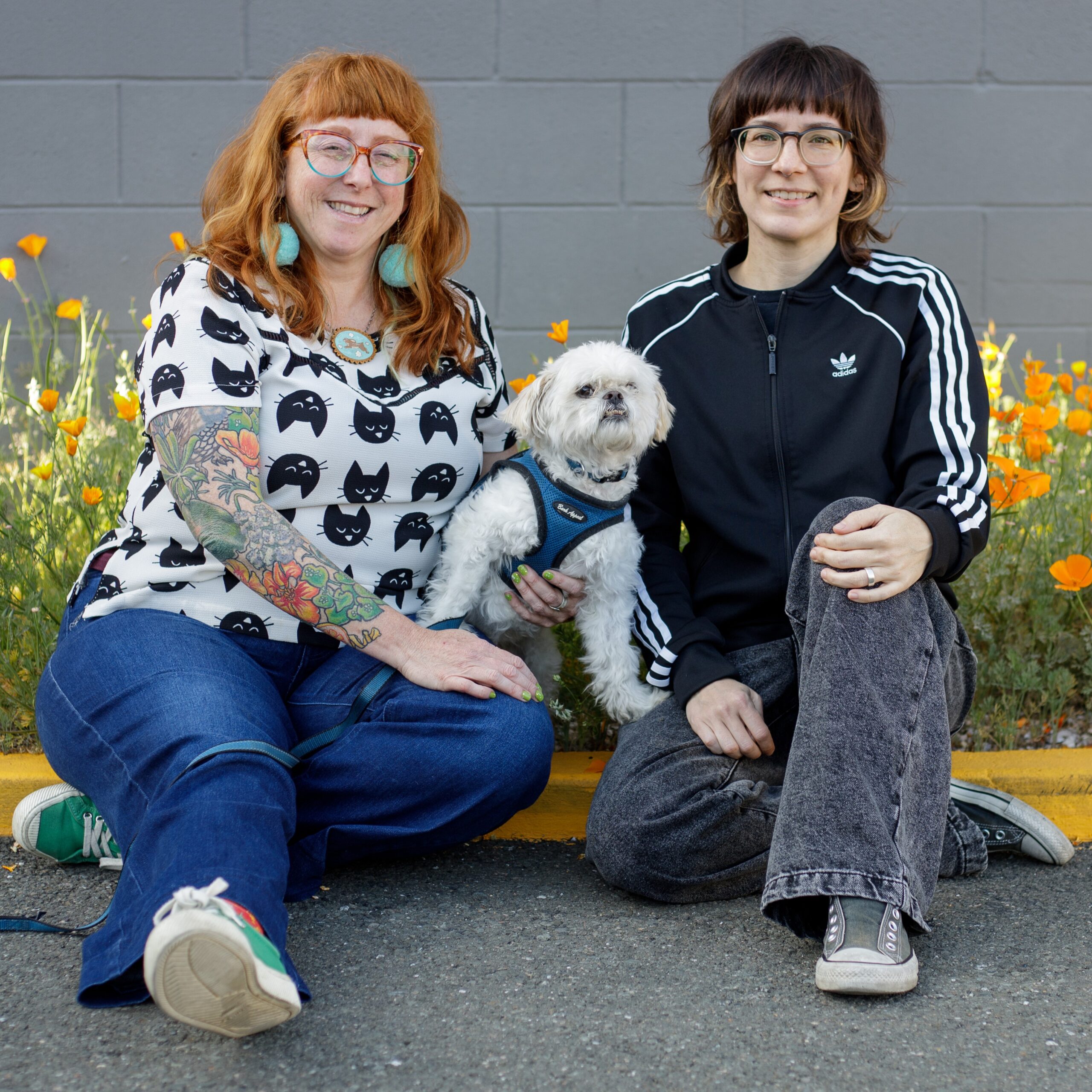 Two smiling women wearing casual clothes sit together on a yellow curb, holding a white dog wearing a blue harness and collar. Behind them are bright orange California poppies and a grey wall. 